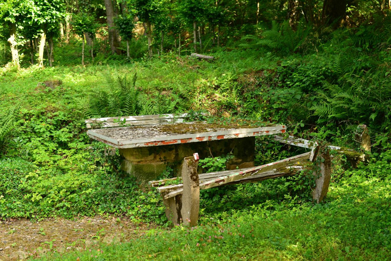 19712.jpg
