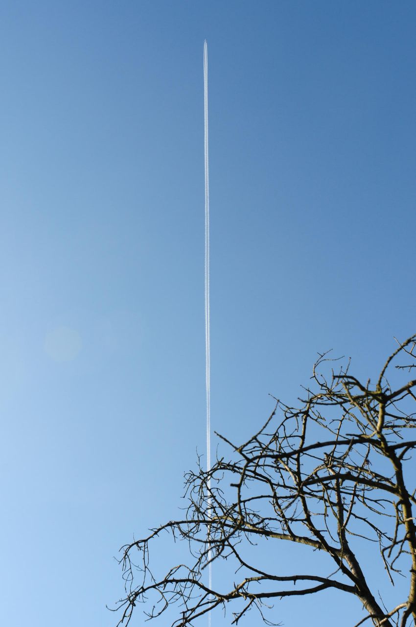6191.jpg